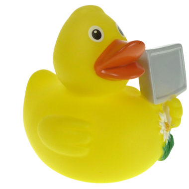 Info Badeente 8cm mit grauem Schild