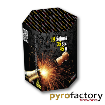 Feuerwerk Batterie CHAMPAGNE 19Schuss